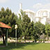 Sbfr Gallery Image Thumbnail